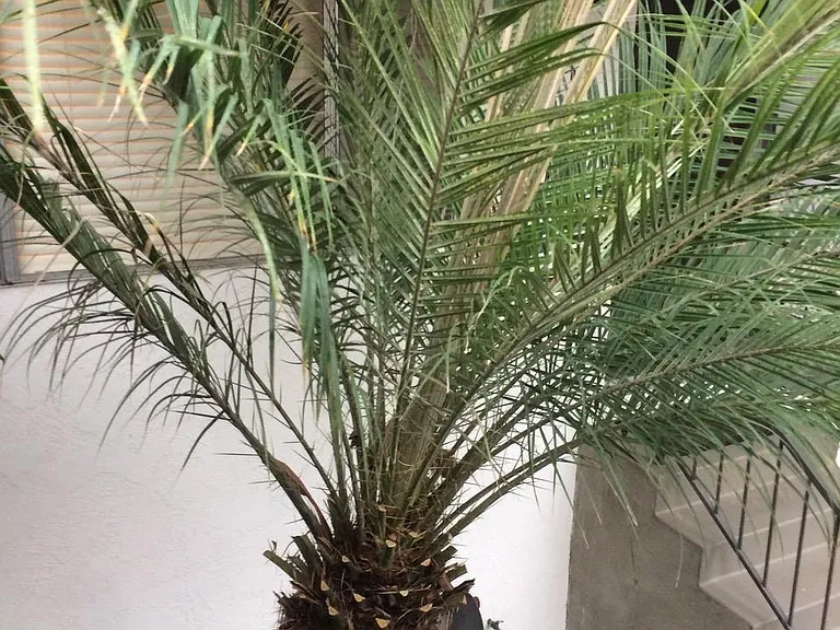 227 La Paloma #A — Photo 13