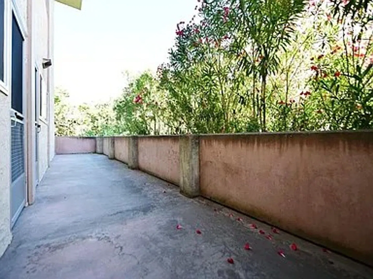 Light, bright, and airy condo in the heart of downtown Walnut Creek! — Photo 2