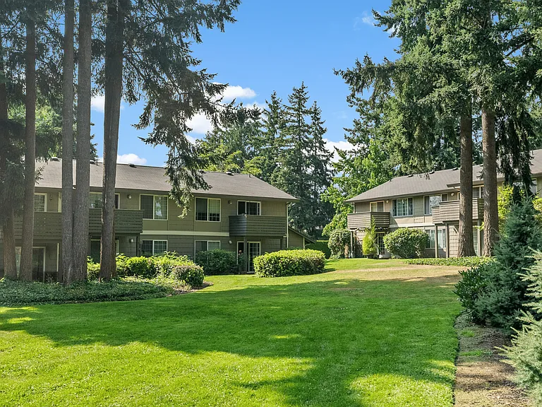 Peaceful green courtyard with towering trees and open space.