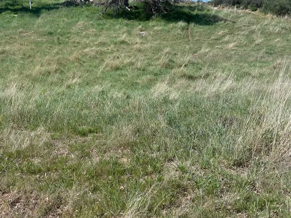 0 High Gun Dr Lot 65, Tehachapi, CA 93561