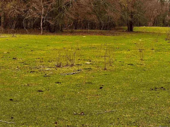 Carpenters Landing Rd, Hammond, LA 70403