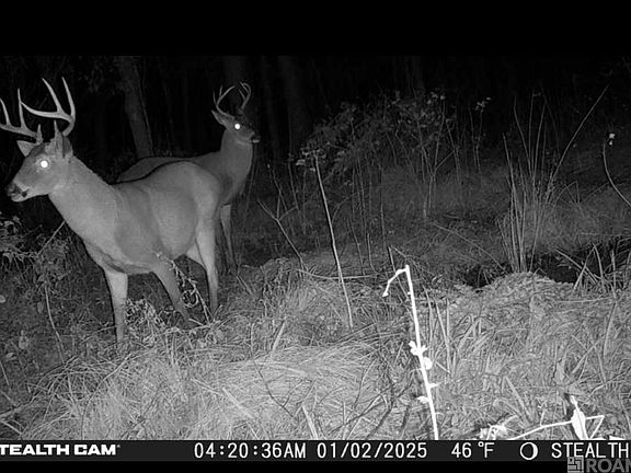 3rd image of 19430 Avants Rd