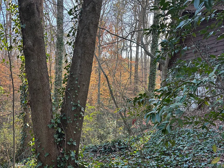 Landover Dr — Photo 7
