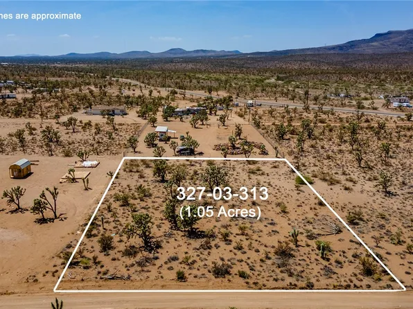 328 N Quesnel Dr, Dolan Springs, AZ 86441