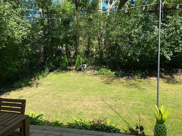 Back yard from the deck 1