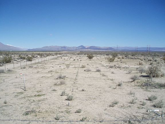 2nd image of 6360 Black Mountain Blvd