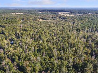 R32312 Sandy Creek Rd, Zavalla, TX 75980
