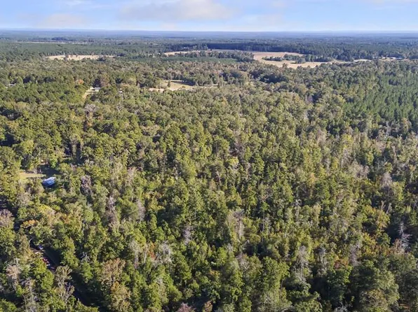 R32312 Sandy Creek Rd, Zavalla, TX 75980