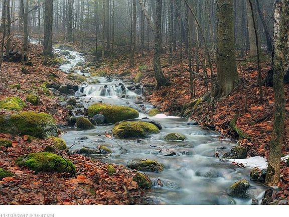 Soothing seasonal stream runs through the far side of the property in the spring and fall months/
