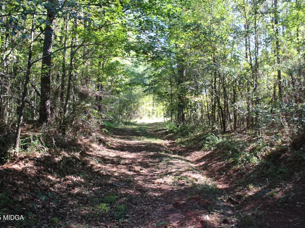 0 Jw Ashley Rd, Jeffersonville, GA 31044