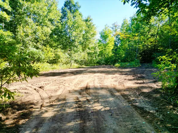 5170 Rocky Top Ln Parcel C, Pierson, MI 49339