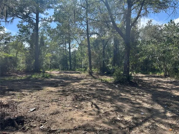 1631 NE 123RD TERRACE LOT 6, WILLISTON, FL 32696