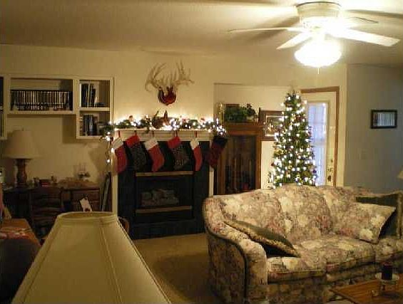 Downstairs Family Room