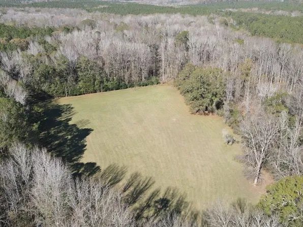 0 Chestnut Grove Rd, Shiloh, GA 31826