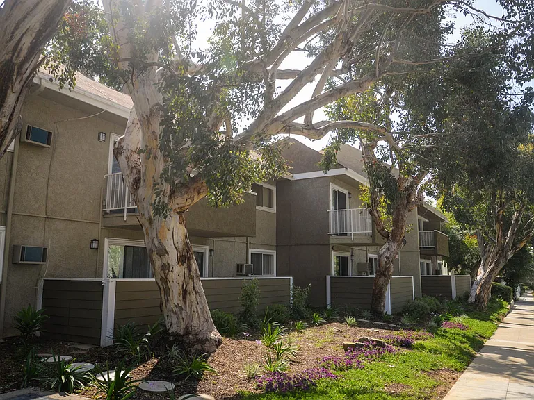 Alta Vista Villas — Photo 10