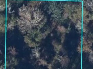 325 Riverside Cir, Wewahitchka, FL 32465
