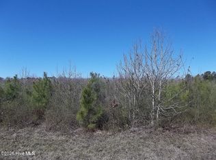 Boat Ramp Rd Lot 2, New Hope, NC 27944