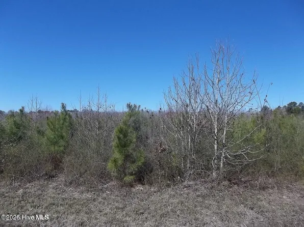 Boat Ramp Rd Lot 2, New Hope, NC 27944