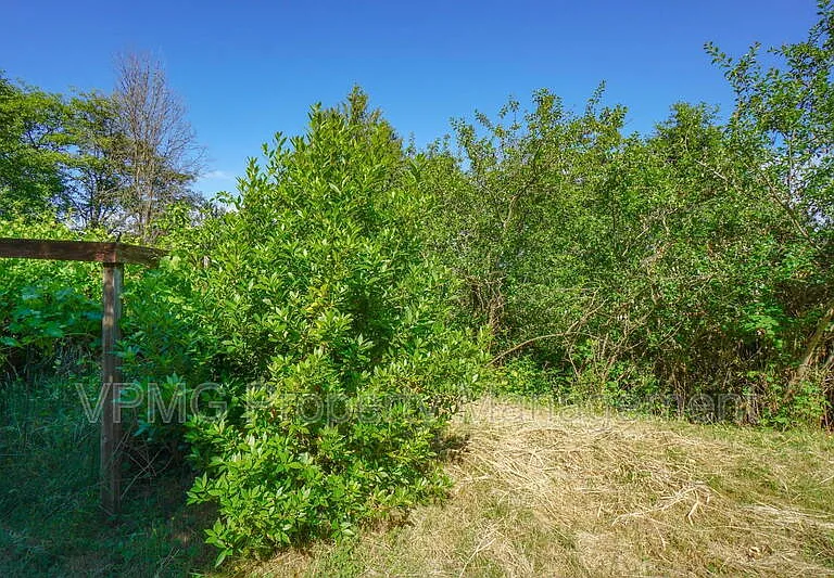 3956 Columbia Heights Rd — Photo 56