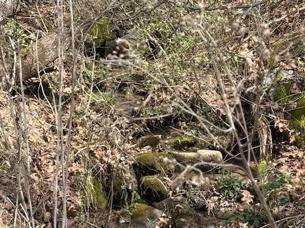 25 Green Meadow Ln #25, Mars Hill, NC 28754