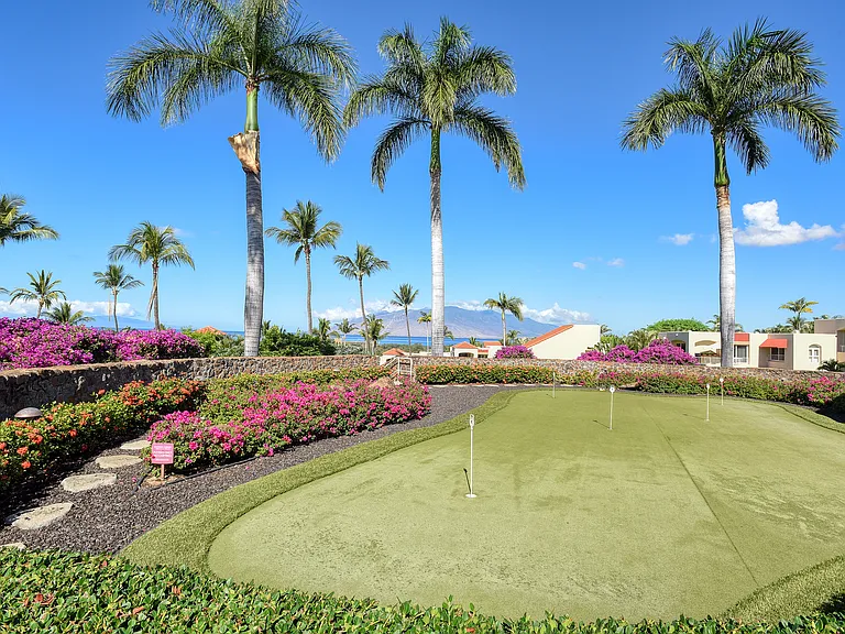 3150 Wailea Alanui Dr #3807 — Photo 20