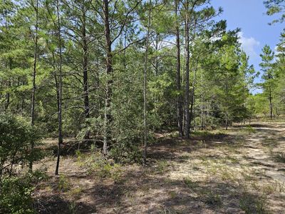 3902 Clearview Dr, Crestview, FL, 32539
