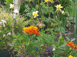 715 S Fawn St, Cornelius, OR