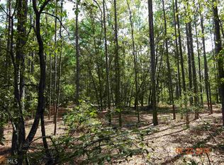 11151 Daisy Nevils Hwy, Claxton, GA 30417