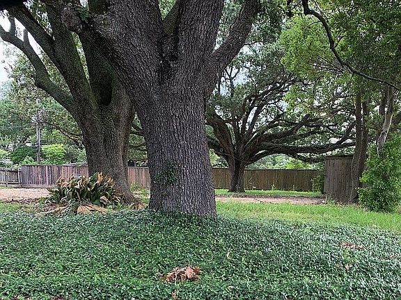 2nd image of 4814 N Braeswood Blvd