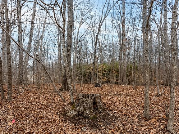 2nd image of LOT 10 Thacker & Shelton Ln