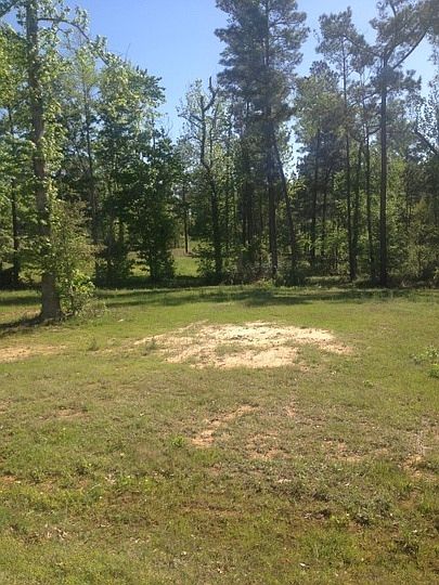 2nd image of 298 Timber Falls Dr
