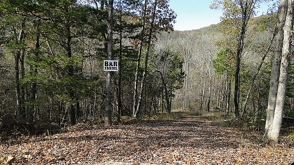 3rd image of 111 Highway 9 Spur
