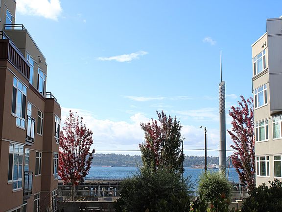 View from deck