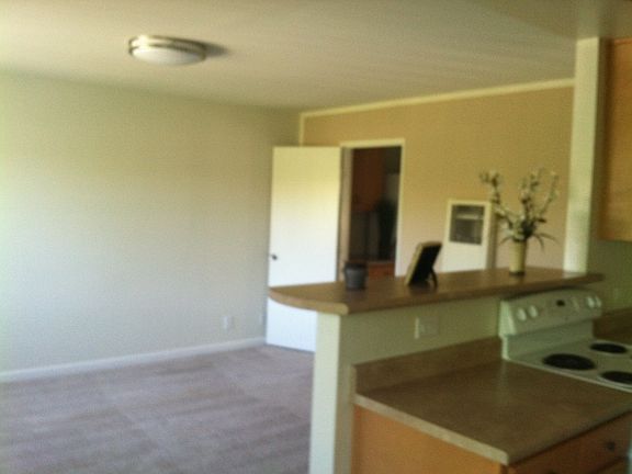 5th image of 2636 Newhall St #Ground