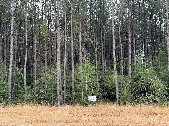 2nd image of 10634 Forest Mill Rd