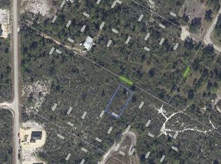 1035 Freehill Ave #41, Lake Placid, FL 33852