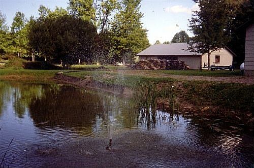 2nd image of 585 Ransom Rd