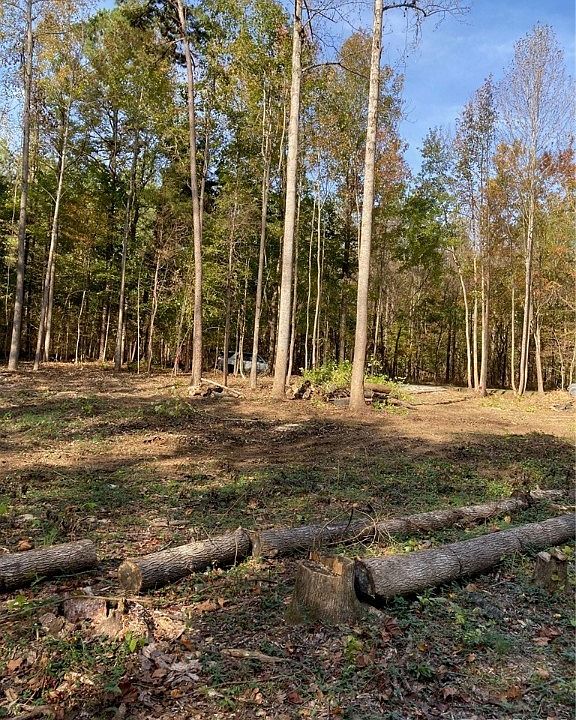 00000 Clementown Rd, Amelia Court House, VA 23002 Zillow