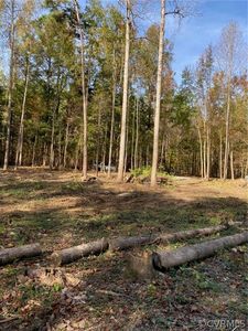 00-000 Clementown Rd, Amelia Court House, VA, 23002