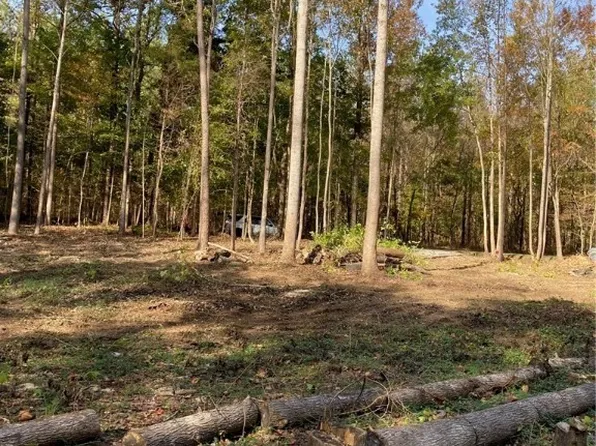 00-000 Clementown Rd, Amelia Court House, VA 23002