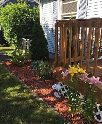 Colorful flowers are beauti...