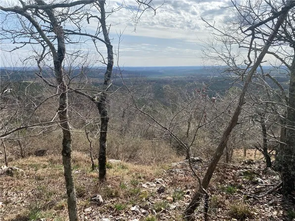 Hall Cemetery Rd, Langley, AR 71952