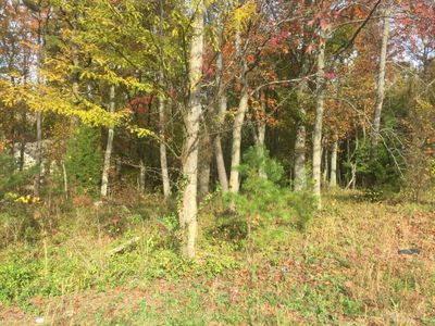 561 Toms River Rd, Jackson, NJ, 08527