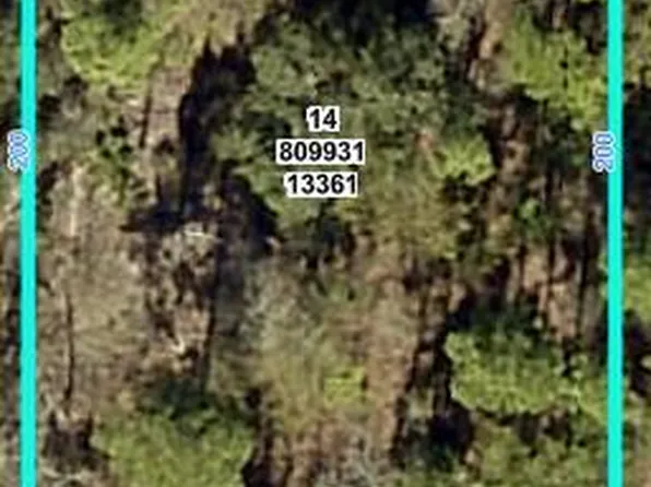 13361 Schick Ave, Weeki Wachee, FL 34614