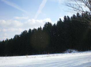 213 N Mulligan Rd, Sherburne, NY 13460