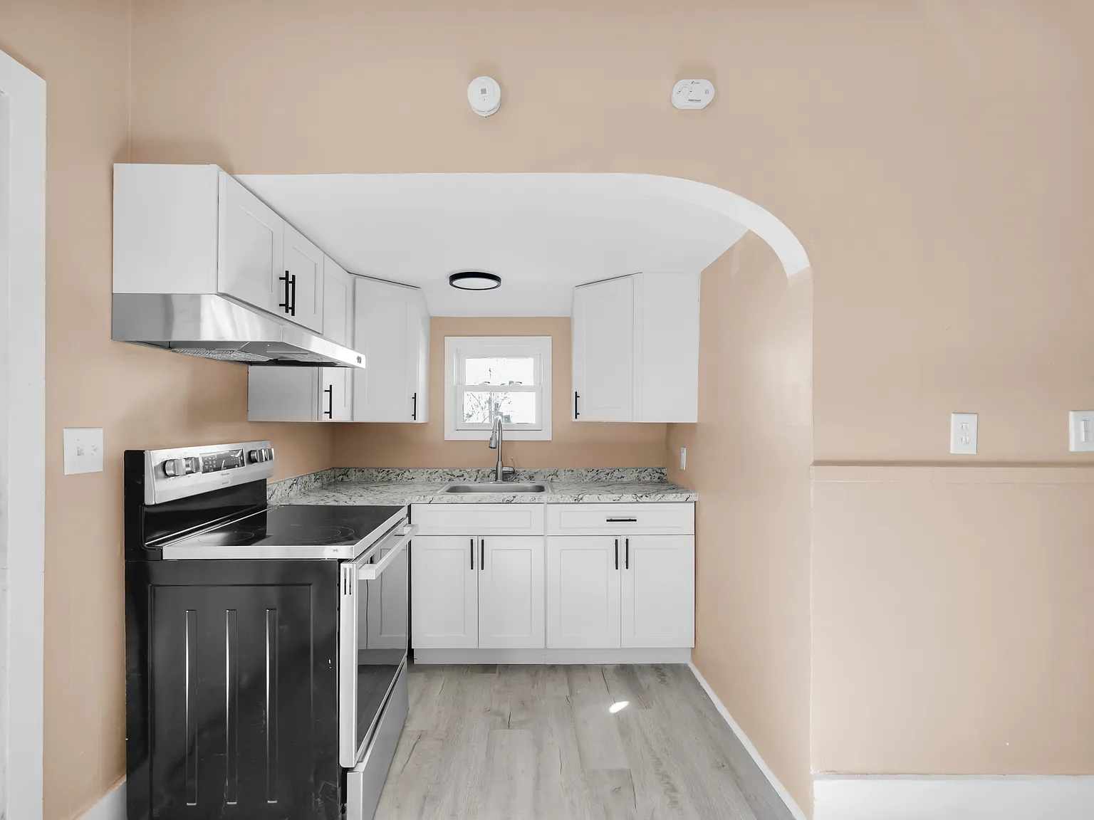 1 bed, 1000 sqft, $1,250 — Photo 2
