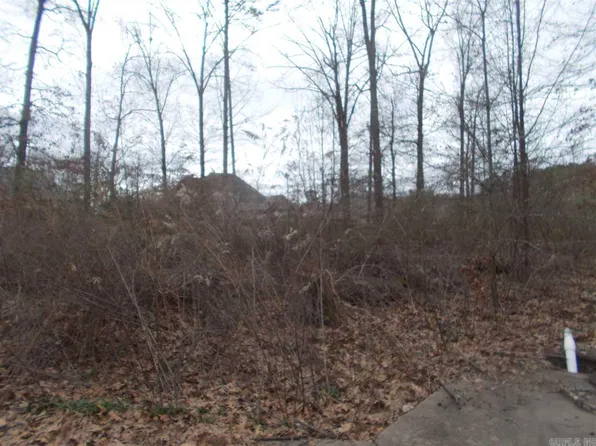 232 Saint Annes Dr, Benton, AR 72015