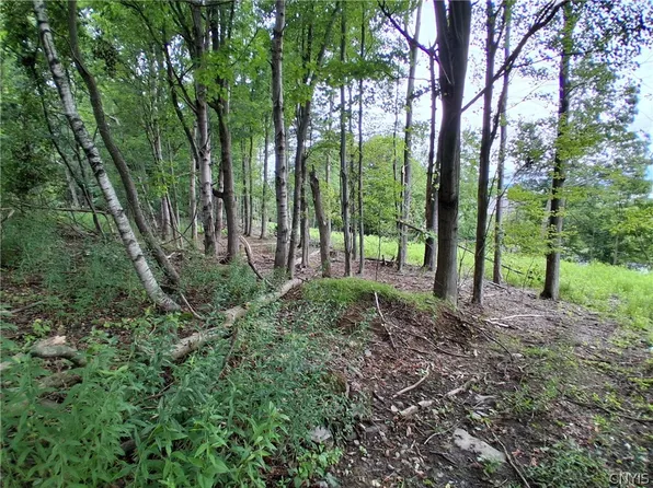 90 Skye Island Dr Lot 7, Endicott, NY 13760