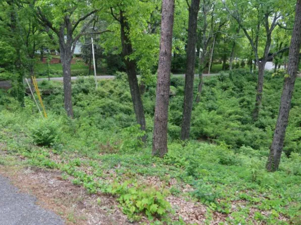 0 Fleetwood Dr, Lookout Mountain, TN 37350