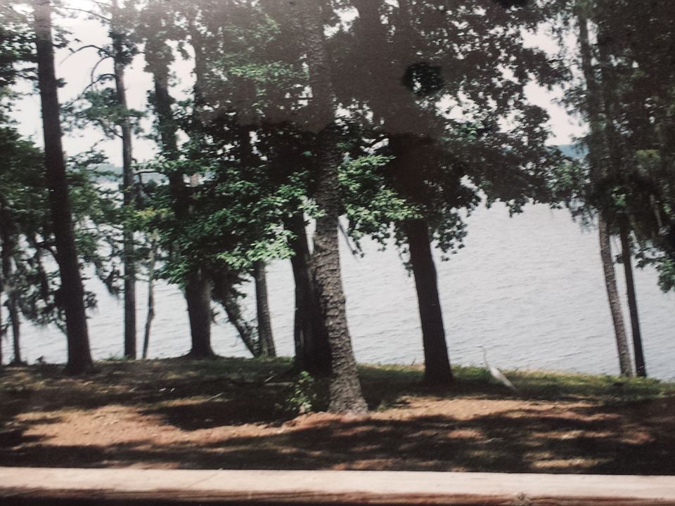 2nd image of 2417 Powell Trce
